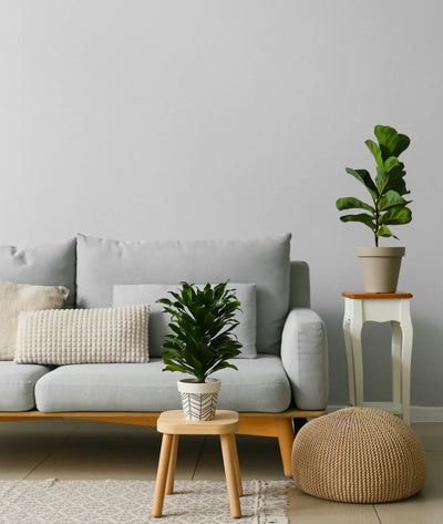 How to Create a Cozy and Organized Living Room: Step-by-Step