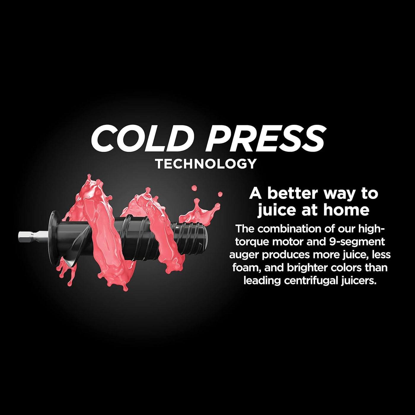 Neverclog Cold Press Juicer – JC151